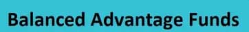 Balanced Advantage Fund